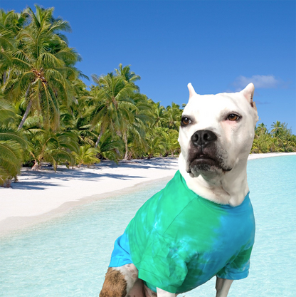 a white pit bull type dog sitting in front of some palm trees wearing a blue and green tie dyed t-shirt