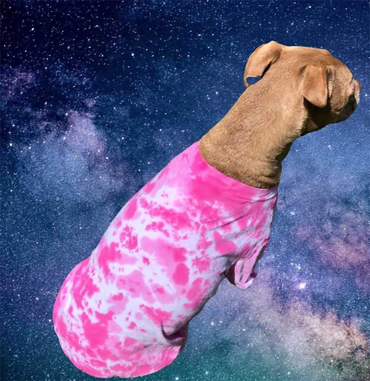 Your Dog s Favorite Tie Dyed T shirt
