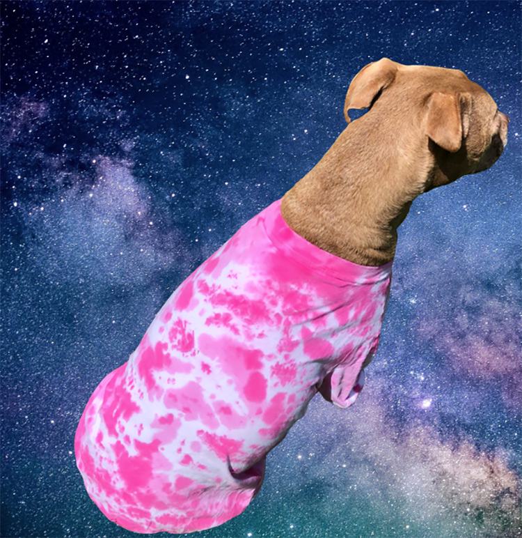 a brown pit bull type dog sitting in outer space wearing a pink tie dyed t-shirt