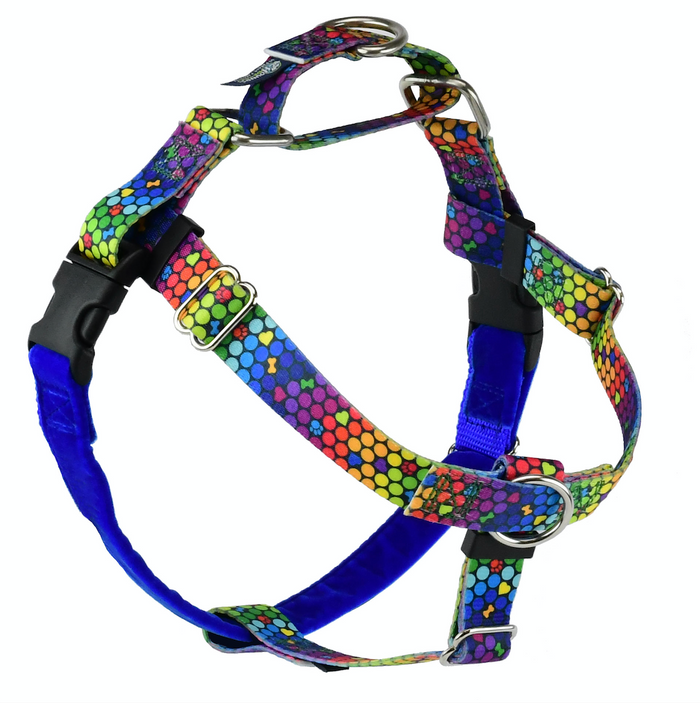 Rainbow colord dot print dog harness  with dots, bones and hearts on it