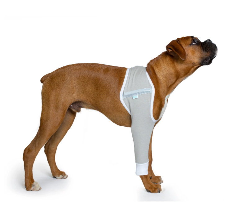 A brown boxer wearing a grey shoulder and forearm protective sleeve