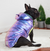 A black French Bulldog sits on a white fur rug, wearing an iridescent Puffer jacket