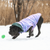 a large black mastiff dog wearing a Reversible Iridescent Puffer chasing a ball in the snow