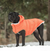 a large black mastiff dog standing in the snow wearing an orange parka