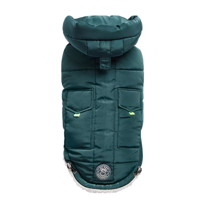 a teal hooded parka for dogs