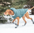 a large brown dog wearing booties and a teal hoodied parka in the snow