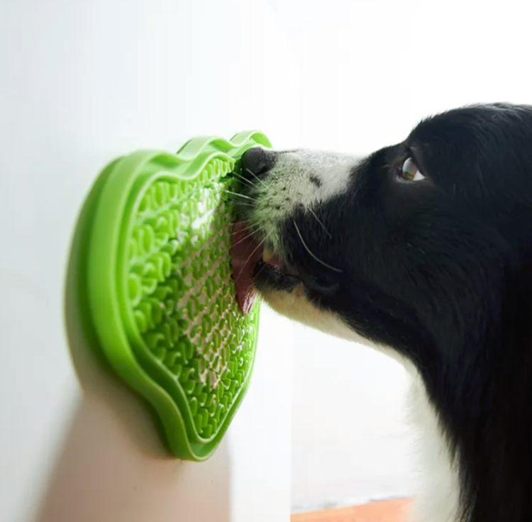 a black dog licking green feeding mat for dogs that is attached to the wall with suction cups