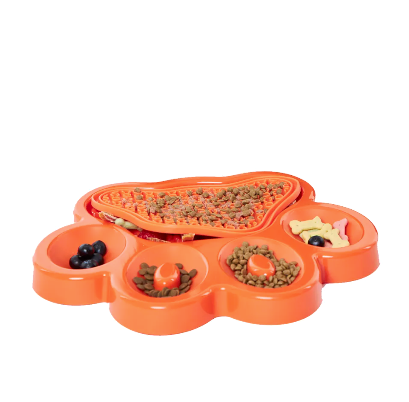 orange paw shaped lick mat and slow feed