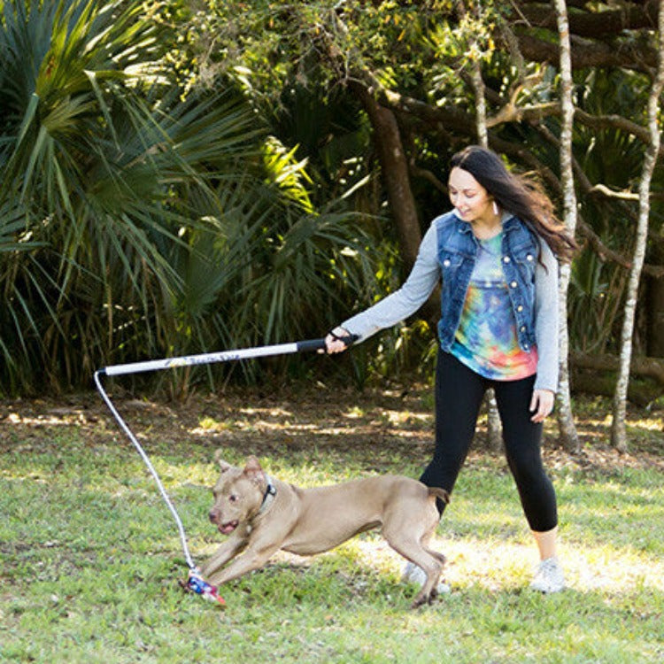 a woman with long brown hair wearing a denim vest, grey shirt and black pants, playing with a brown pit bull type dog using a white and black flirt pole with blue and red lure