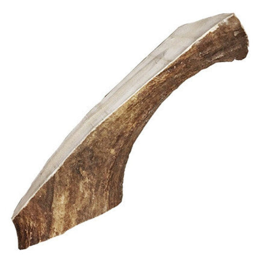 A brown and white antler 