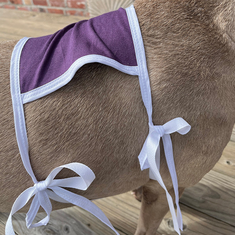 Side view of a brown pit bull type dog wearing a purple and white shoulder and forearm protective sleeve