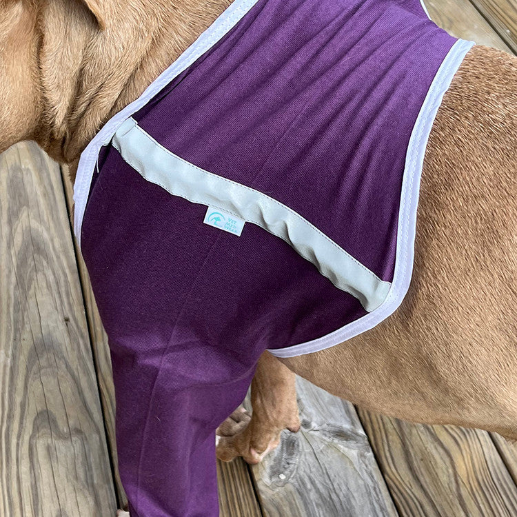 A brown pit bull type dog wearing a purple and white shoulder and forearm protective sleeve