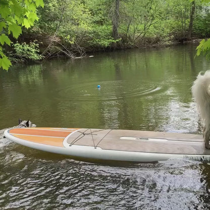 a video of a swimming large grey dog wearing yellow lifevest swimming in a lake. A white fluffy large dog wearing a yellow life vest stands on a paddle board, watching the grey dog swim. 