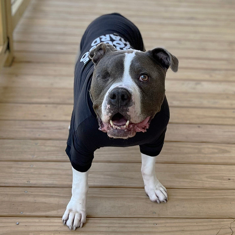 a grey and white pit bull-type dog standing on a wood deck wearing a black t-shirt