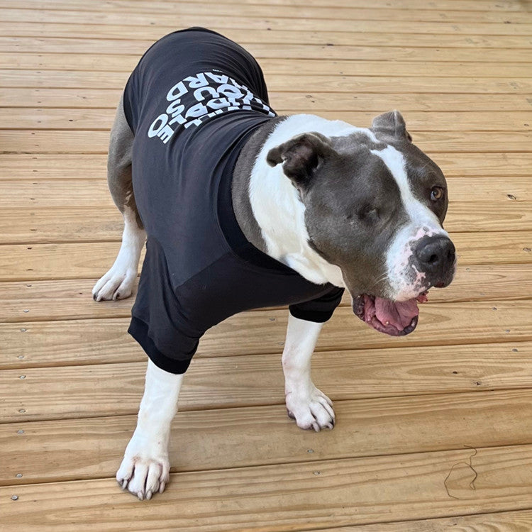 A white and grey pit bull-type dog standing on a wood deck wearing a black t-shirt that says I Will Cuddle You So Hard