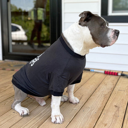 A side view of a white and grey pit bull-type dog sitting on a wood deck wearing a black t-shirt that says I will Cuddle You So Hard