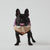 A video of a black French Bulldog wearing a mauve, beige and rust puffer jacket
