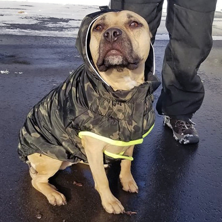 A tan pit bull type dog sitting on pavement wearing a hooded camo puffer