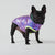 A video of a black French bulldog wearing an iridescent puffer jacket 