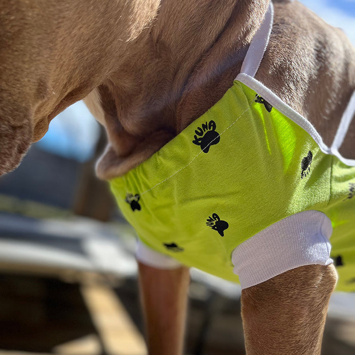 A tan pit bull type dog standing outside wearing a green and white recovery garment