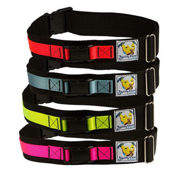 a neon orange and black leash belt, an ocean blue and black leash belt, a neon yellow and black leash belt and a neon pink and black leash belt