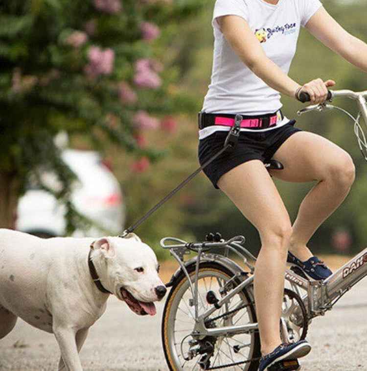 a woman wearing a white shirt, black shorts and a neon pink and black leash belt, riding a bicycle with a white pit bull type dog walking alongside her, attached to the belt