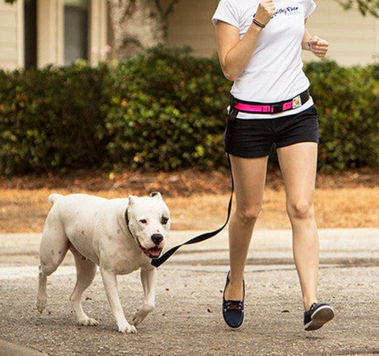 a woman wearing a white t-shirt and black shorts, walking a white pit bull type dog on a black leash attached to a neon pink and black leash belt.