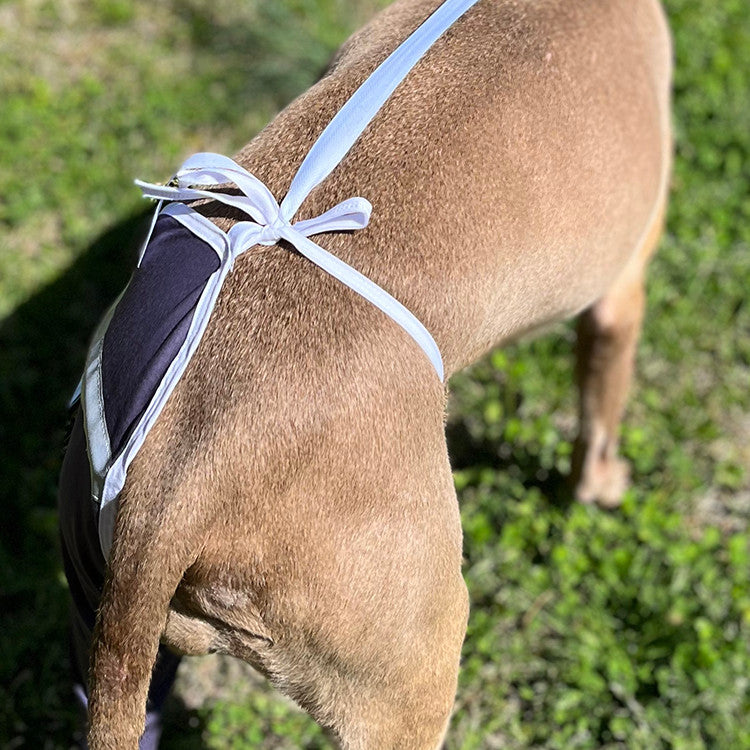 A brown pit bull-type dog standing in the grass wearing a grey protective sleeve on back leg and hip