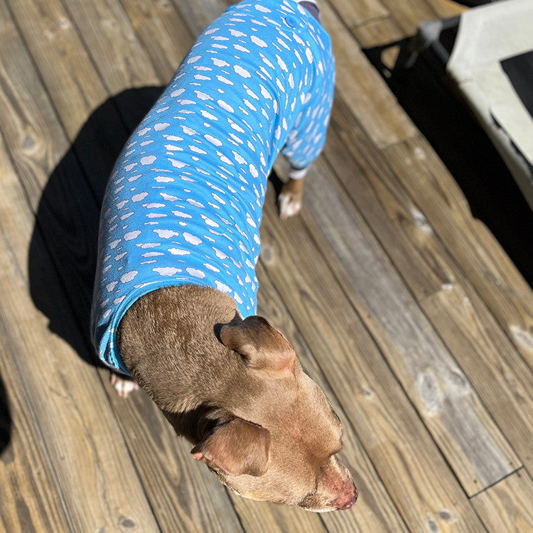A brown pit bull-type dog wearing blue and white cloud pajamas, standing on a wooden deck