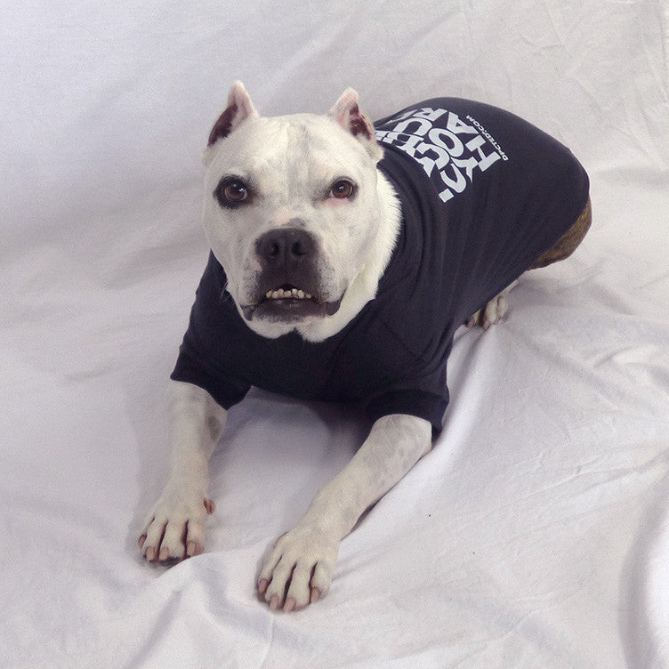 A white pit bull-type dog lying down wearing a black t-shirt that says I Will Cuddle You So Hard