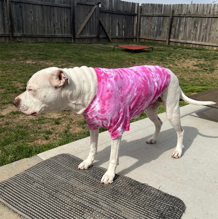 a white pit bull type dog standing outside wearing a pink tie dyed t-shirt