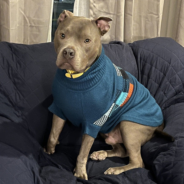 a grey pit bull type dog sitting on a couch wearing a dark blue sweater