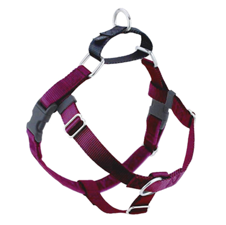 a maroon dog harness