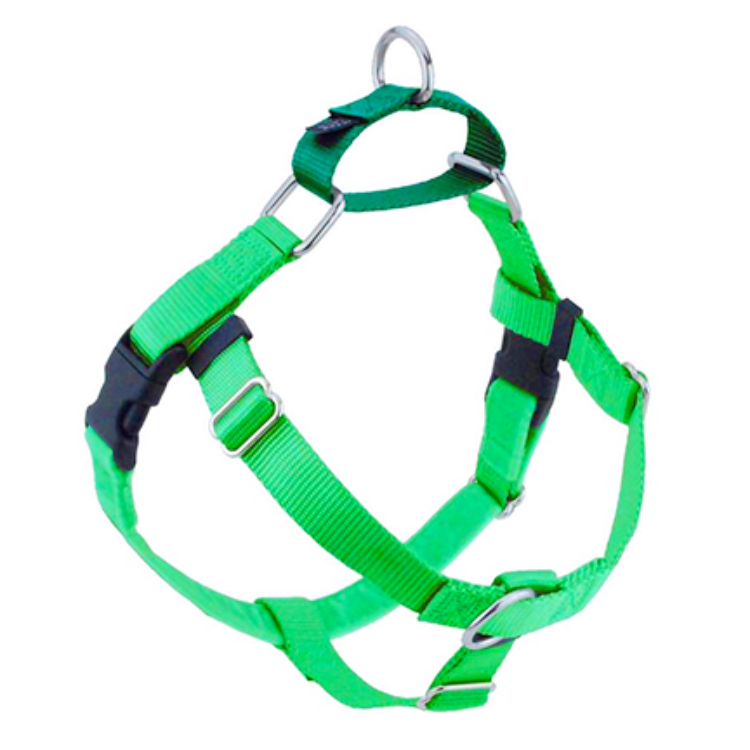 a green dog harness