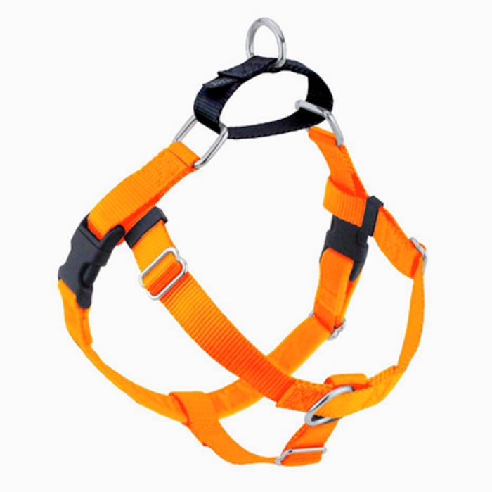A bright orange dog harness