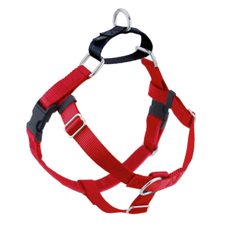 A red dog harness