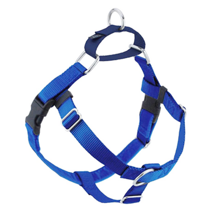 a blue dog harness