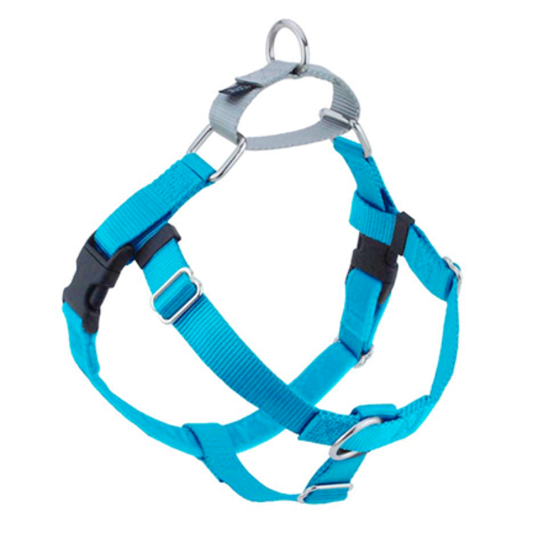 an aqua dog harness