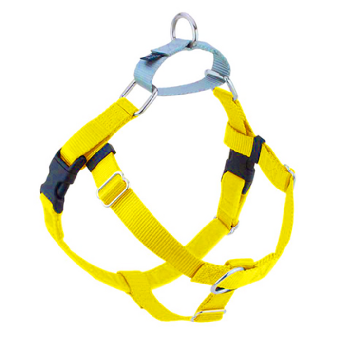 A yellow dog harness